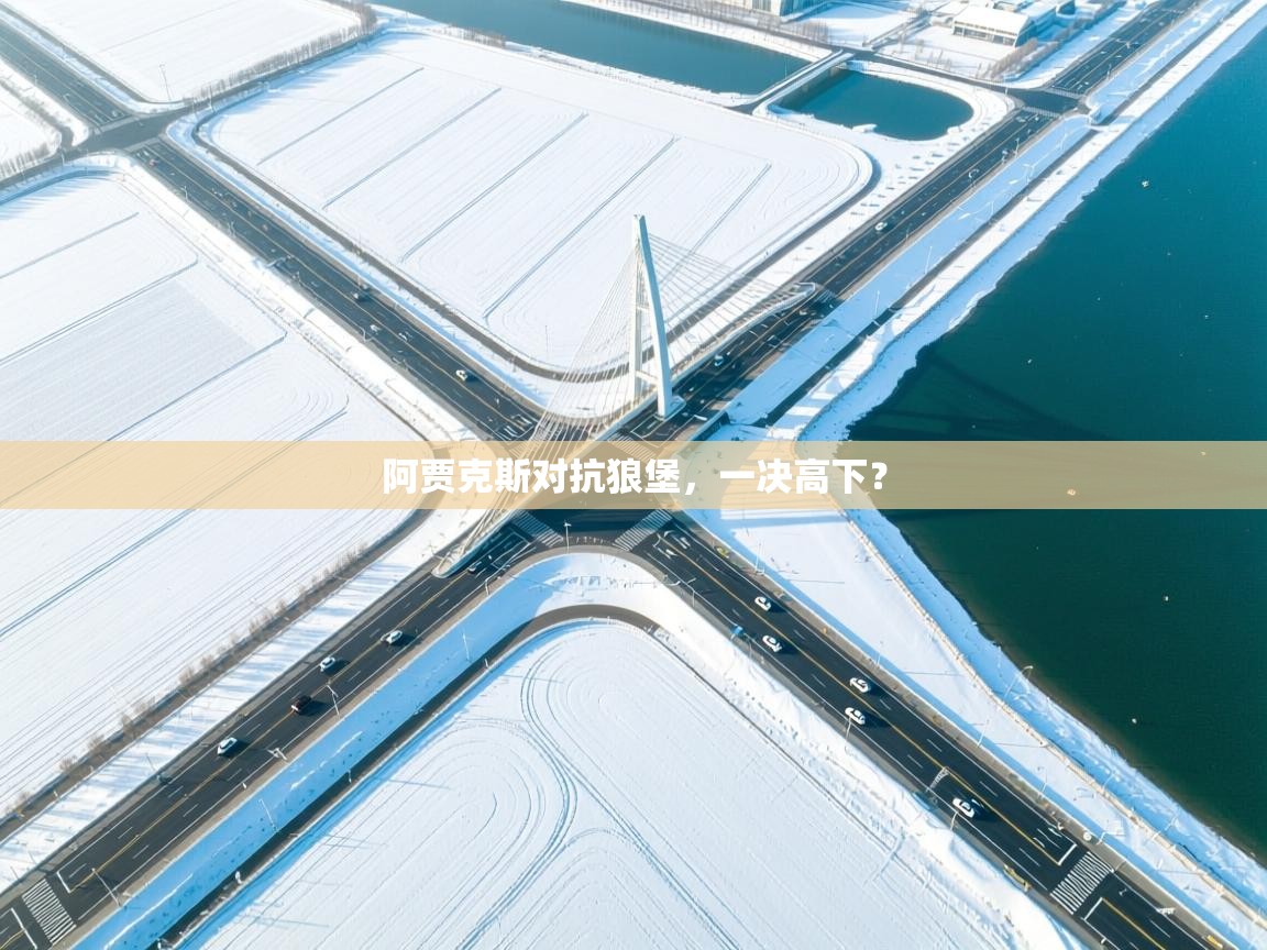 阿贾克斯对抗狼堡，一决高下？  第2张