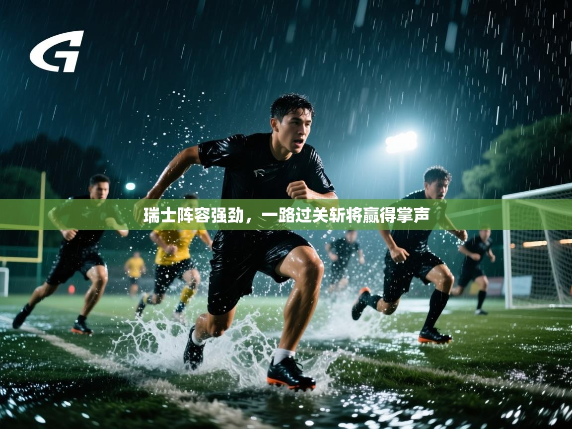 瑞士阵容强劲，一路过关斩将赢得掌声  第2张