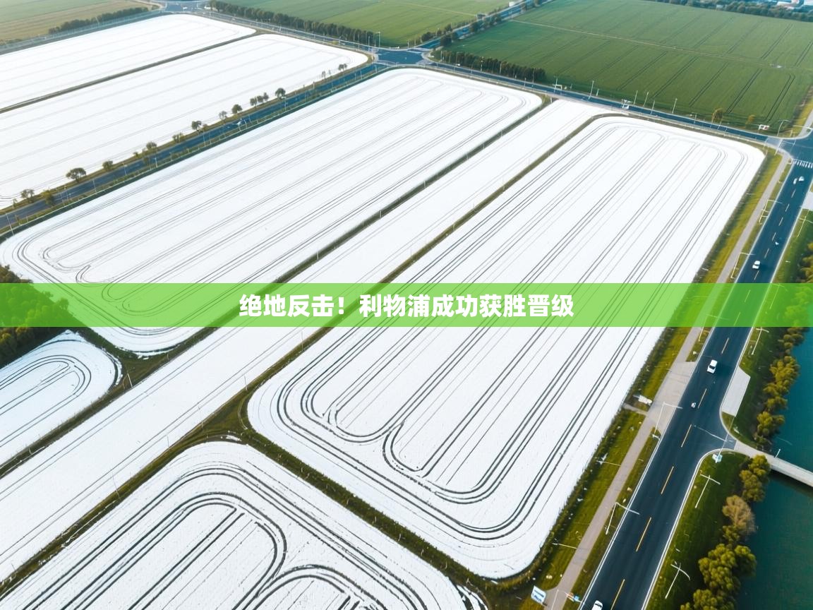 绝地反击！利物浦成功获胜晋级  第2张