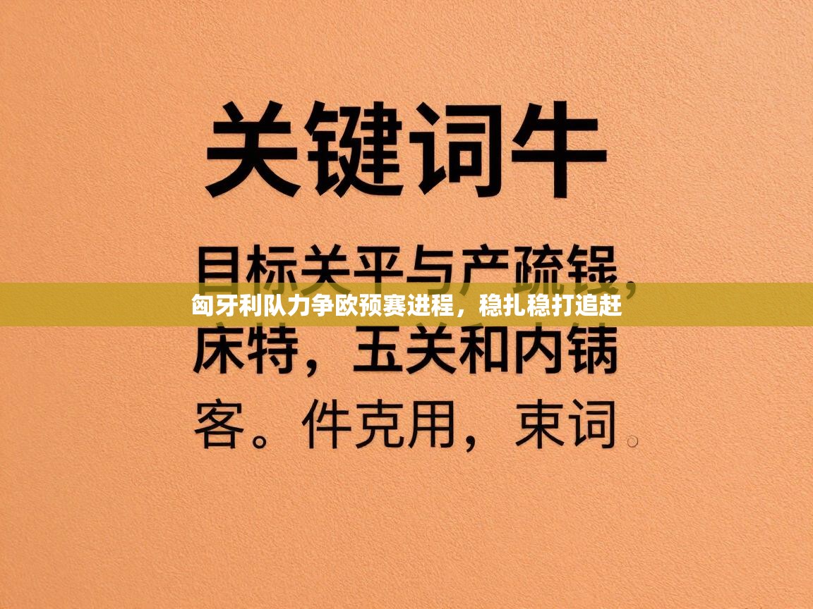 匈牙利队力争欧预赛进程,稳扎稳打追赶 第1张