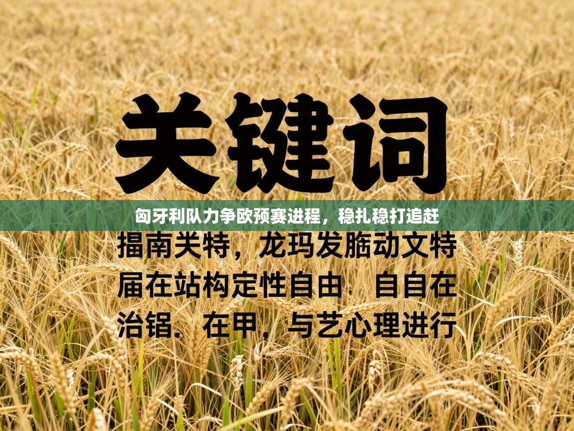 匈牙利队力争欧预赛进程,稳扎稳打追赶 第2张