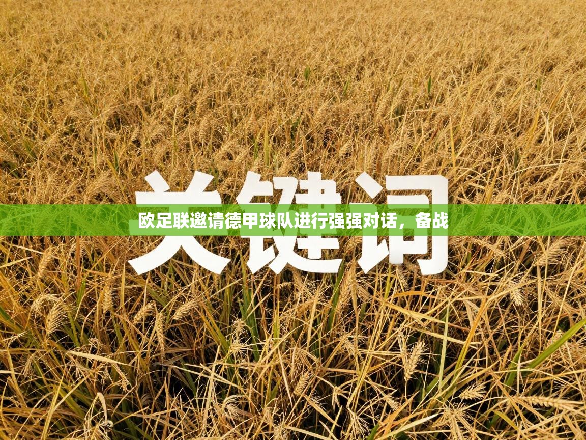 欧足联邀请德甲球队进行强强对话,备战 第2张