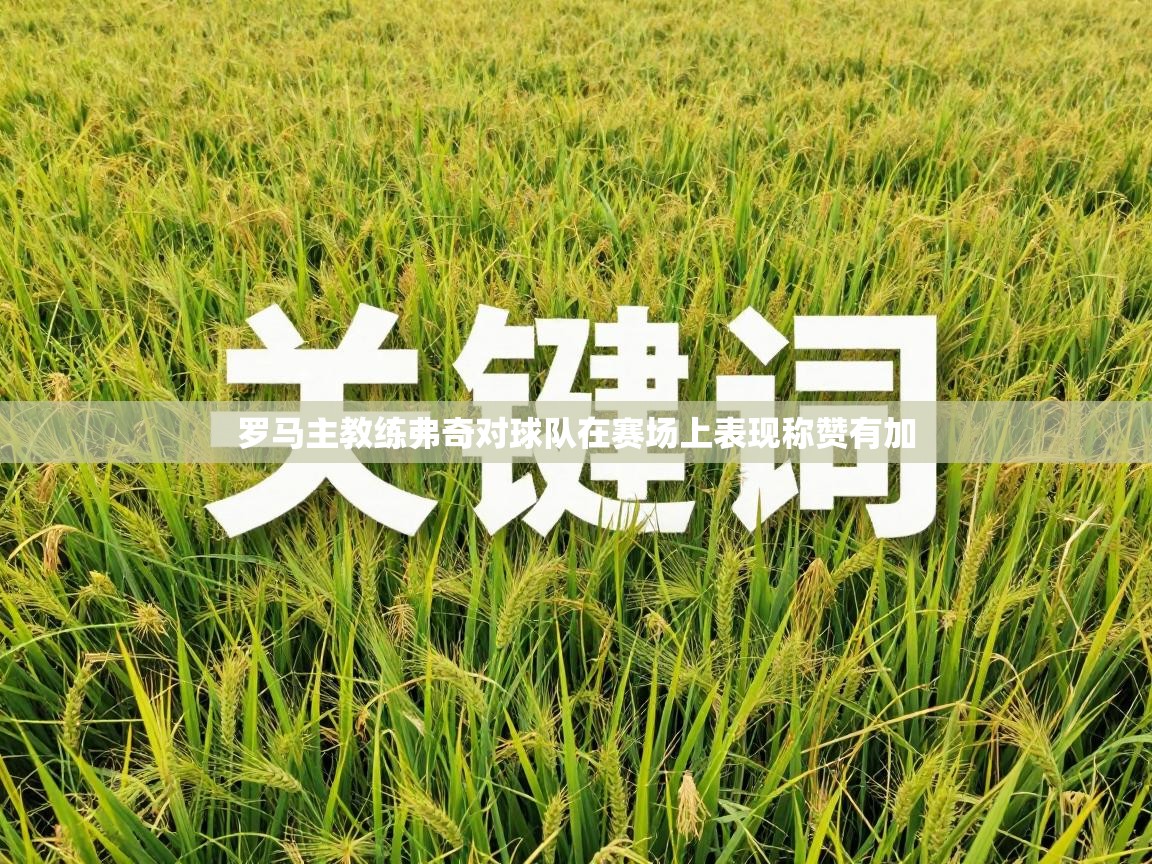 罗马主教练弗奇对球队在赛场上表现称赞有加 第2张