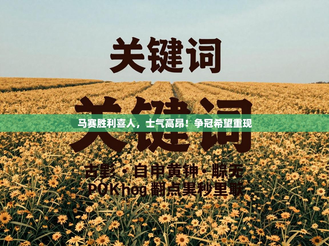 马赛胜利喜人,士气高昂!争冠希望重现 第1张